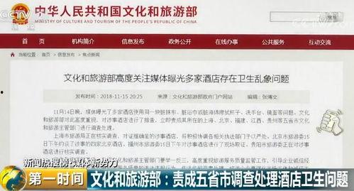 爆料奇特视频大全播放网站,揭秘网络奇观，畅游视觉盛宴